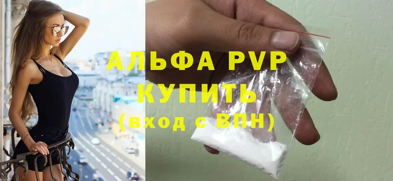 A PVP СК КРИС  Гвардейск 